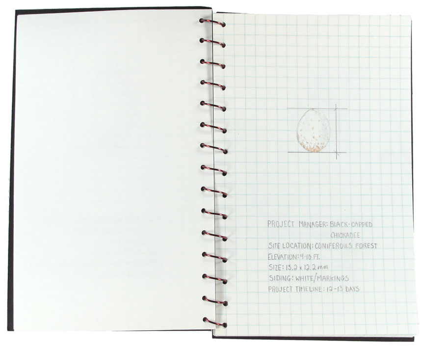 artist's book