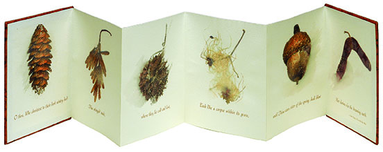 artist's book